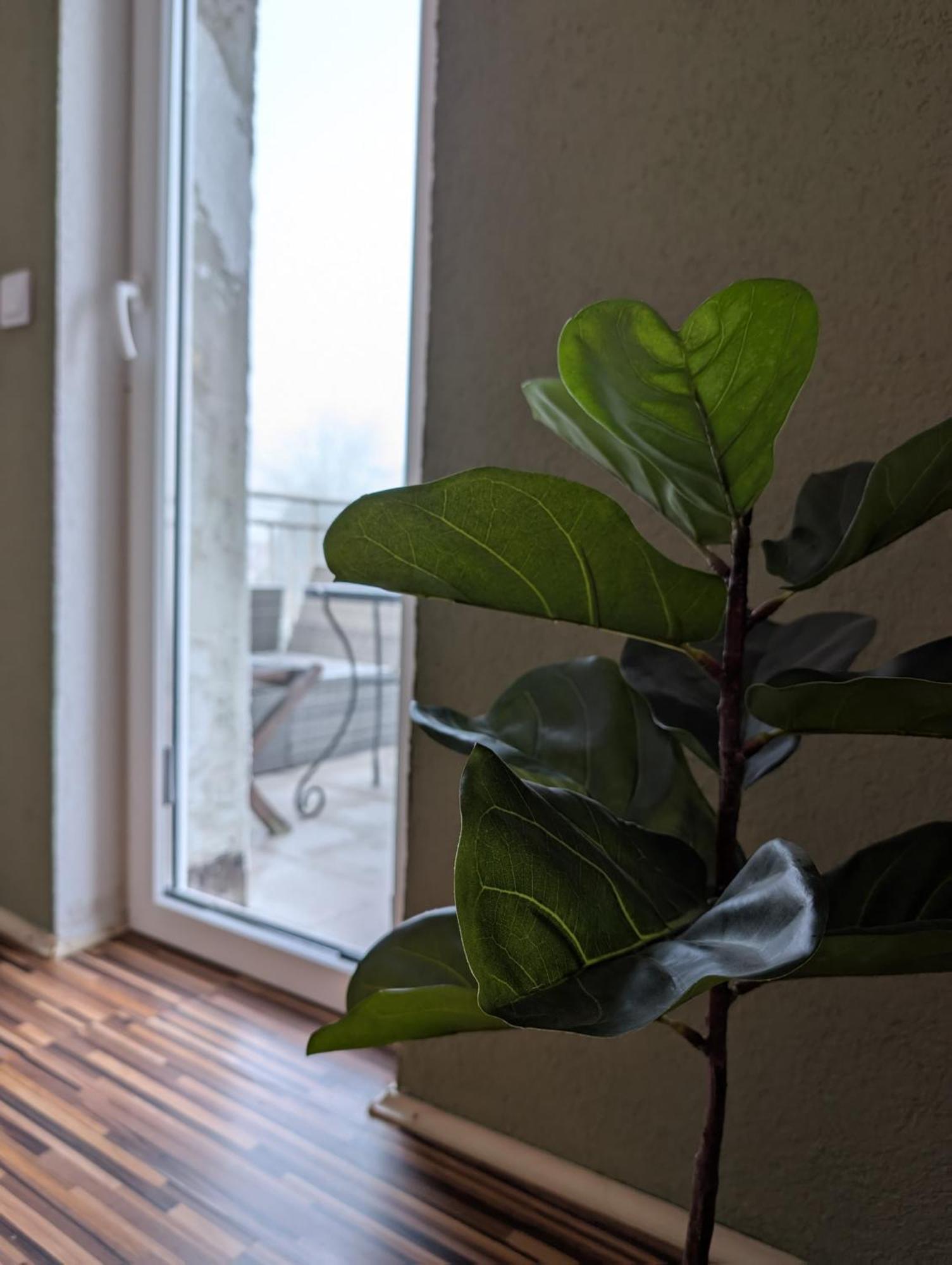 Maisonettewohnung Am Badesee Bei Kassel Ahnatal Buitenkant foto
